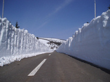 雪の回廊