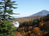 松川大橋からの紅葉