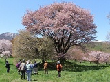 県民の森(１)