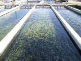 岩手県内水面水産技術センター