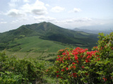 田代平高原