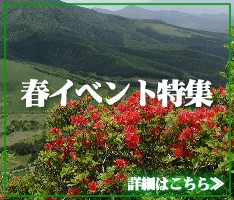 春イベント特集