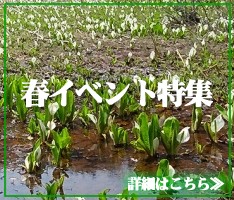 冬/春イベント特集