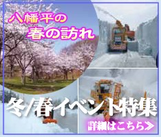 春イベント特集