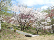 桜松公園